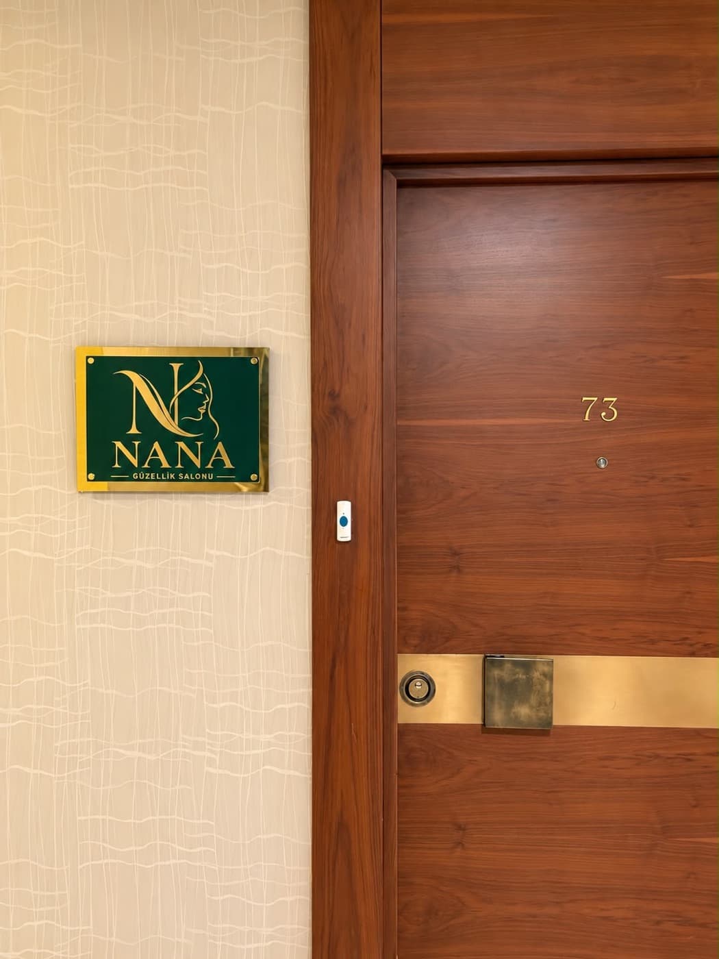 Perla Vista Residence A Blok 73 numara, salon girişi